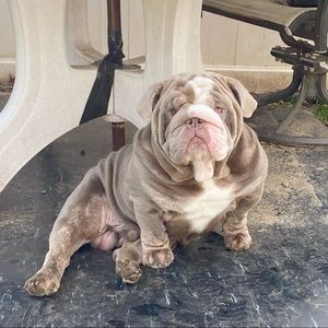 Meet your Posher, Sami